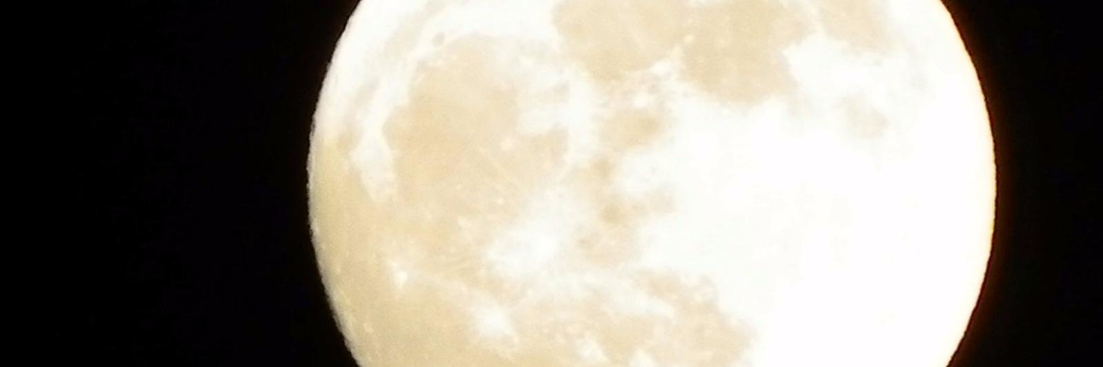 poyotason's profile banner image
