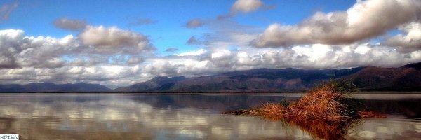 WWPscience Profile Banner