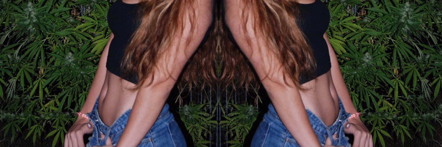 snspangle's profile banner image