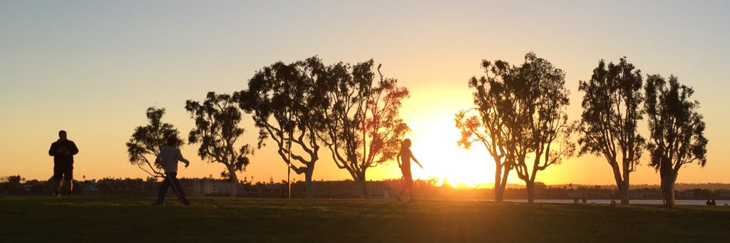 anna_shull_'s profile banner image