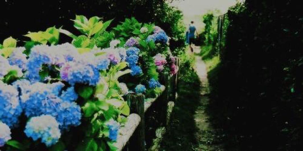 EdaHoran4's profile banner image