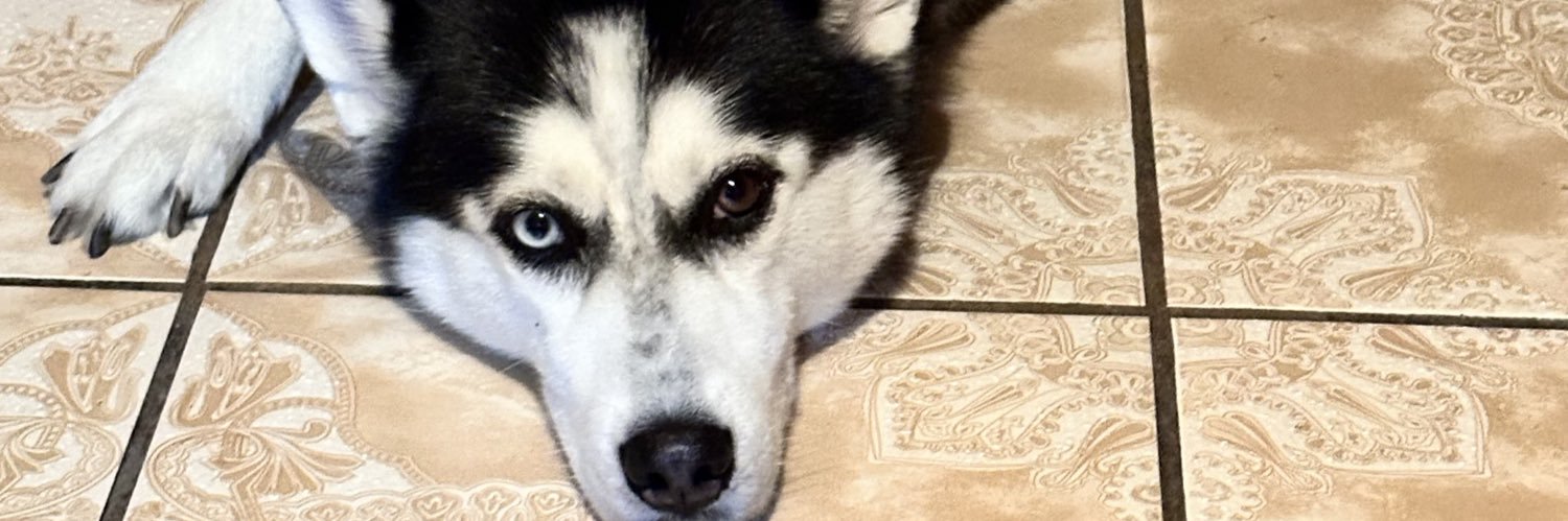 22kenai's profile banner image