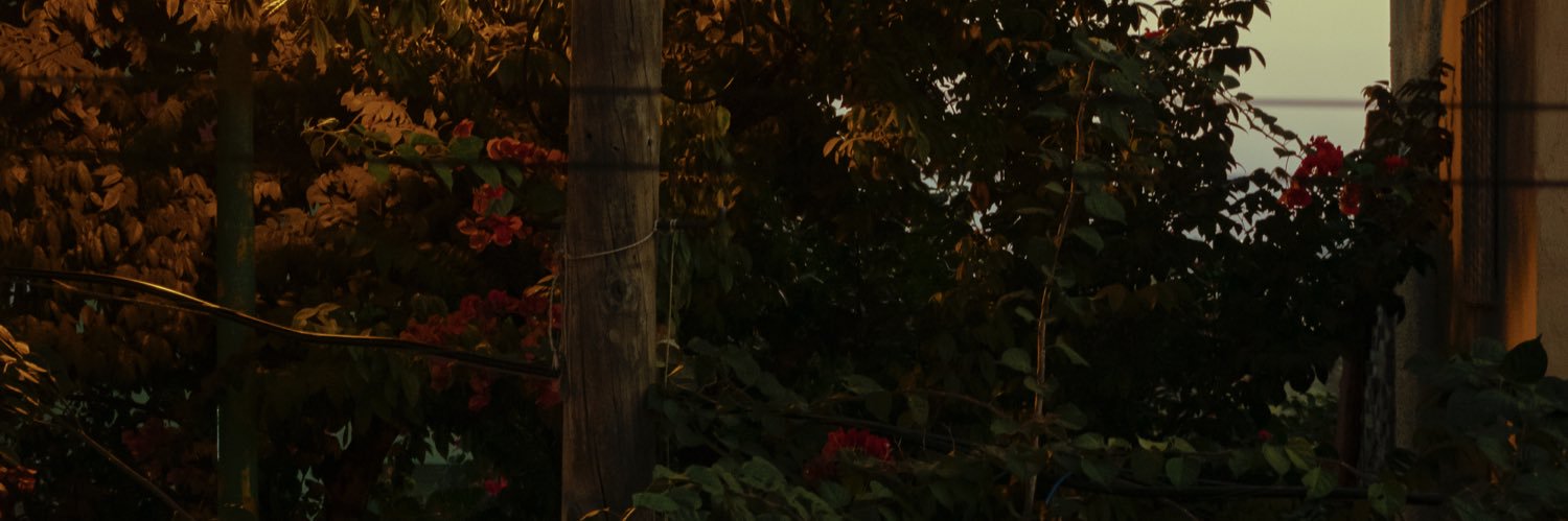 Jesvs03's profile banner image