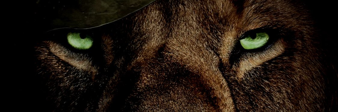 _eqxt's profile banner image