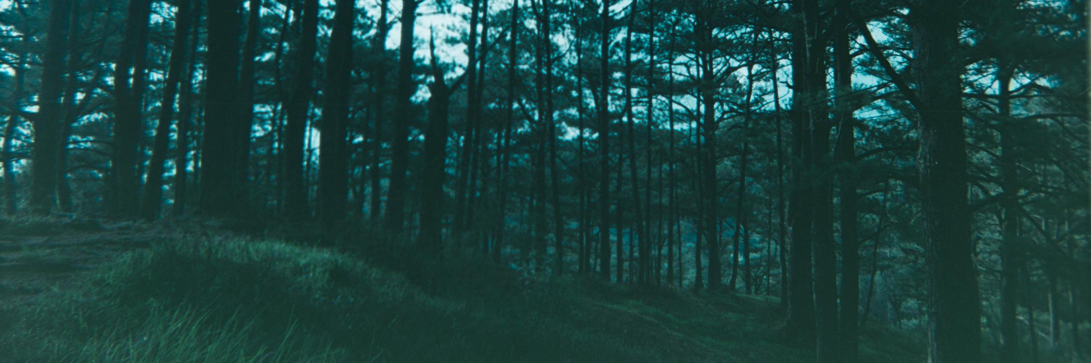 samfelix's profile banner image