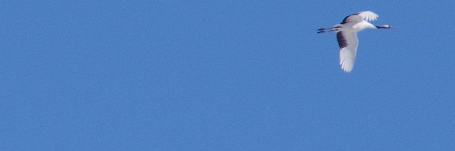 ishiteiy's profile banner image