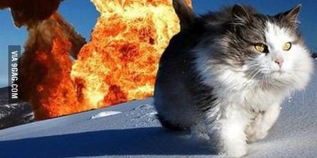 MagischerM's profile banner image