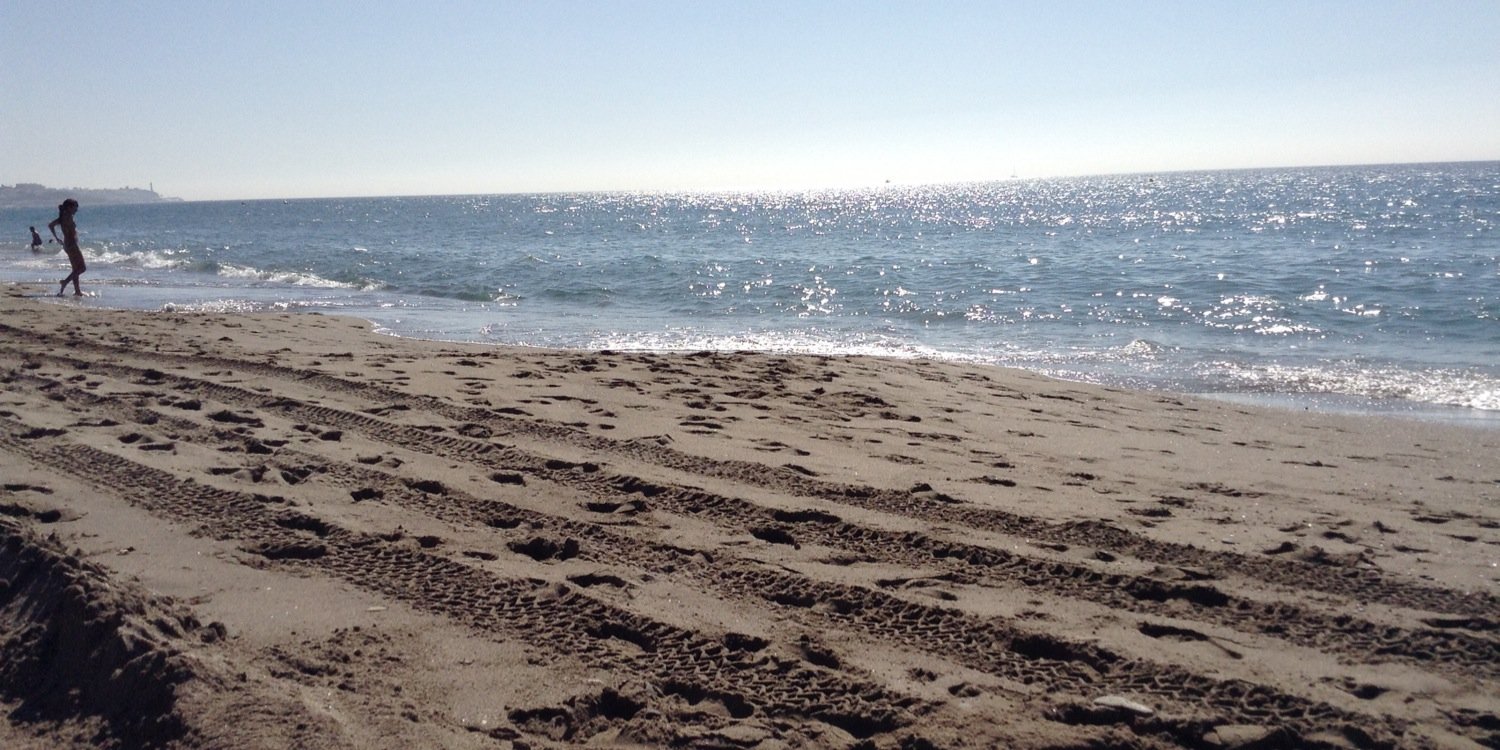 carmenro33's profile banner image