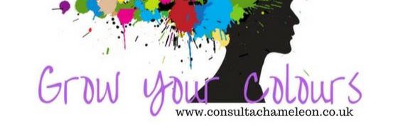 jochameleon1's profile banner image