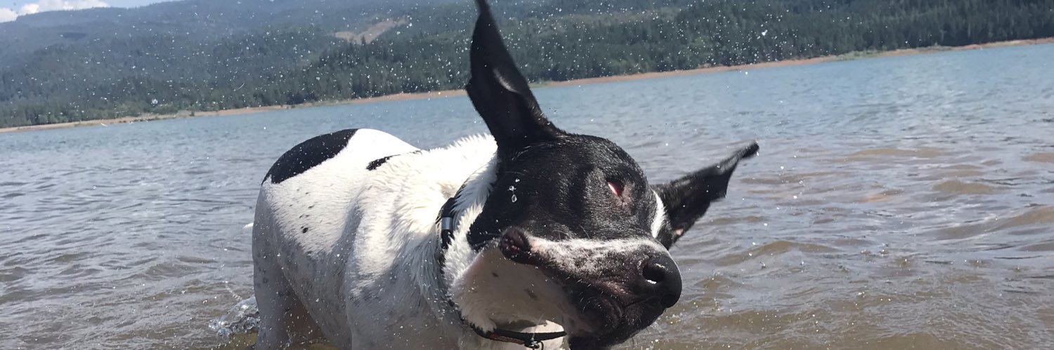 JulieWal14's profile banner image