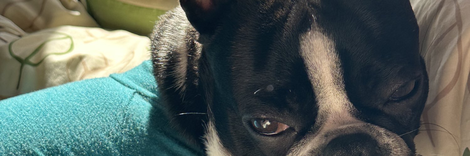 nmoooooo2's profile banner image