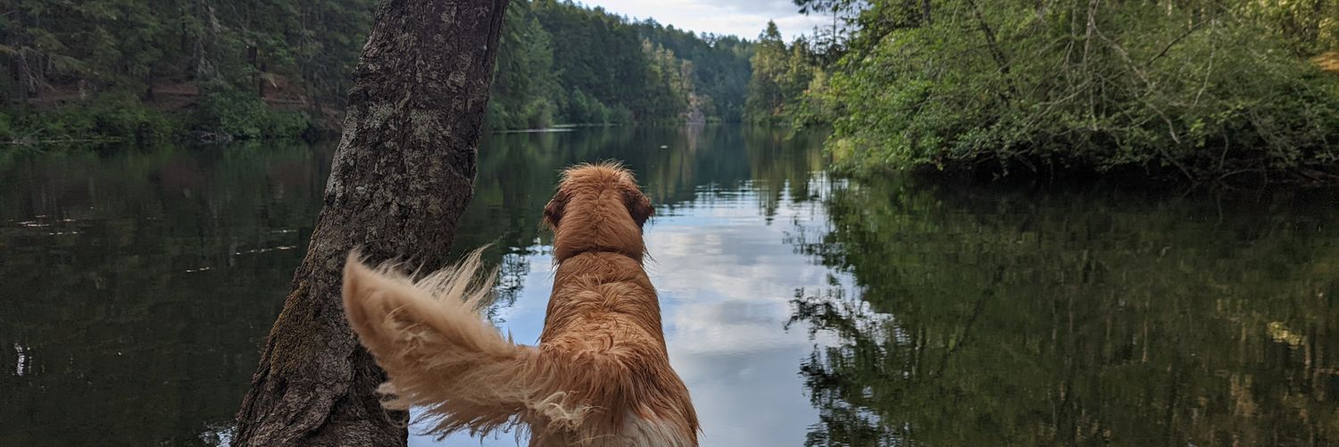 Ana, Hoverbear 🐻‍❄️ banner