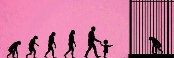 Maggievolution's profile banner image
