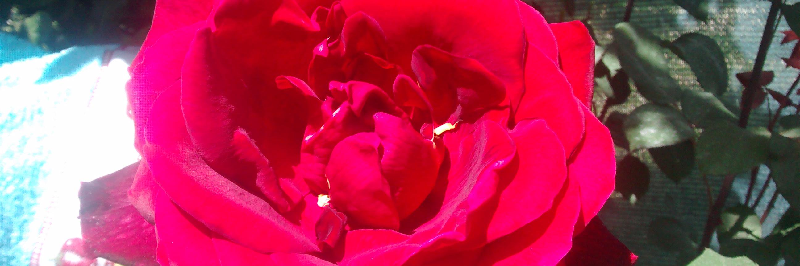 Nekane Errasti banner