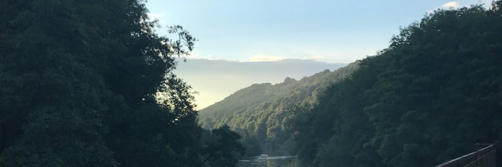 ChloFez's profile banner image