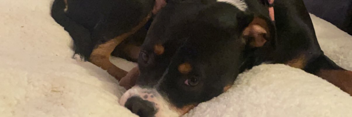 emzals's profile banner image