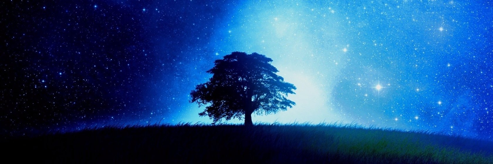 bestarrenever's profile banner image