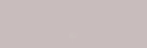 Selen banner