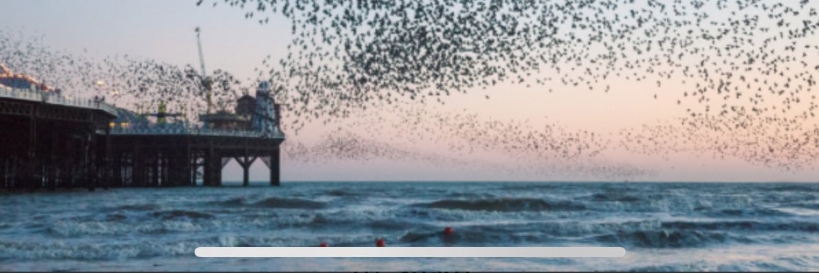 Rebecca Winter banner