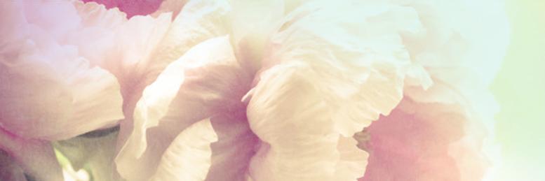 weddingedit's profile banner image
