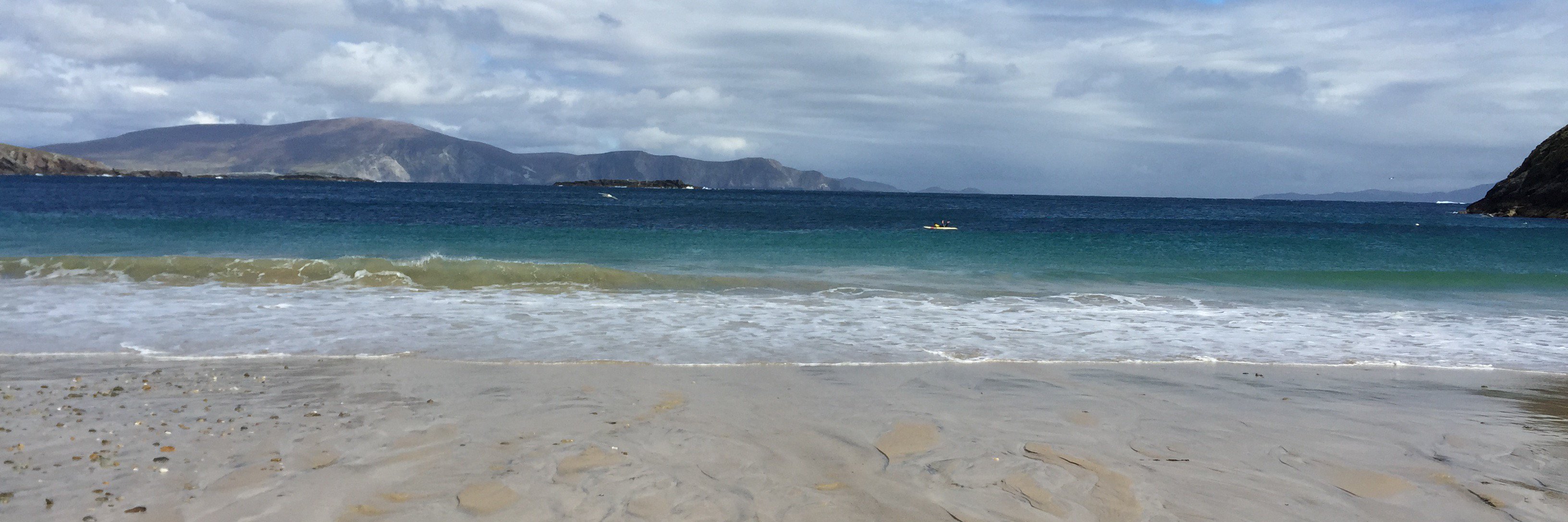 Dr Sinead Loughran banner