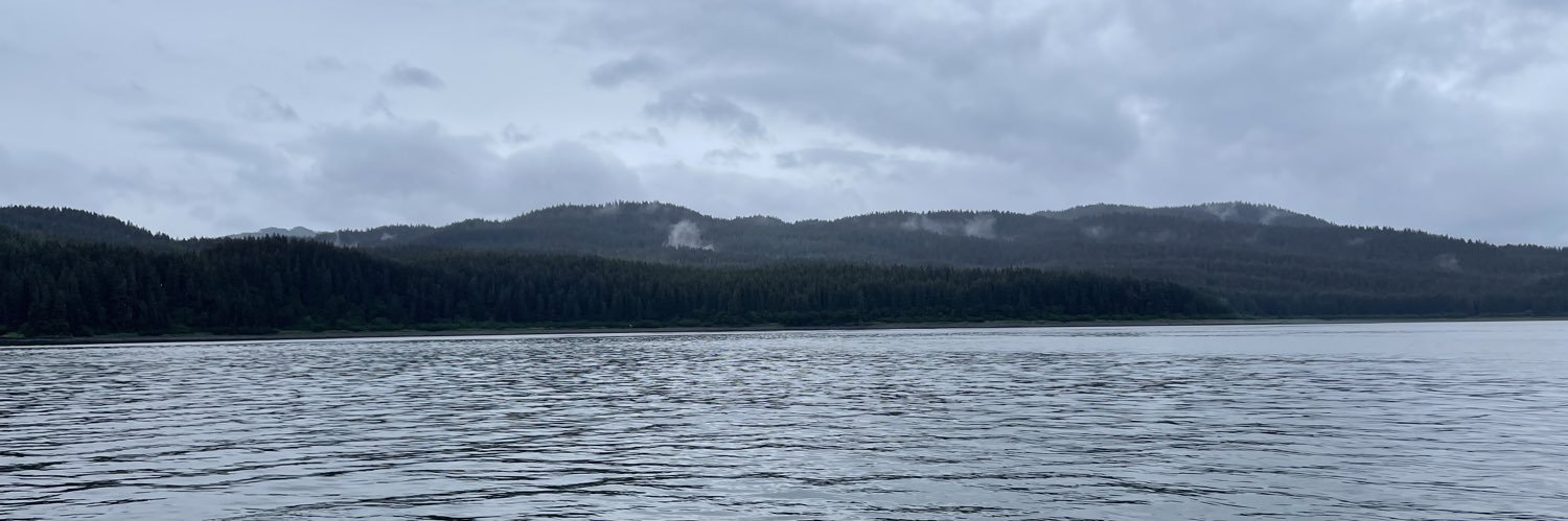 brockipedia's profile banner image