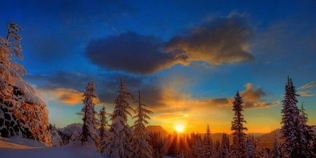 #Arvind MayaRam banner