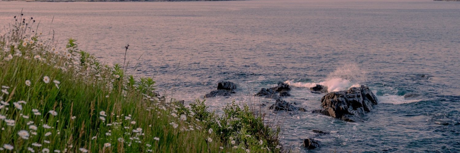 sistineafp's profile banner image