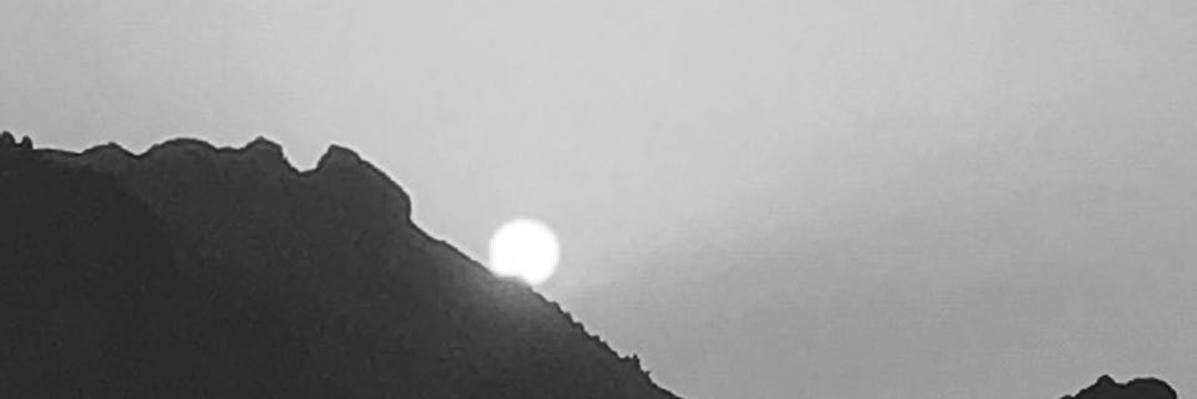 STamimi10's profile banner image