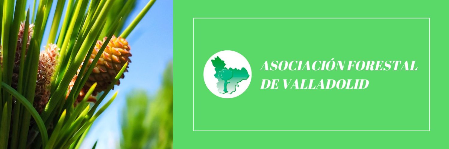 Asociación Forestal de Valladolid banner
