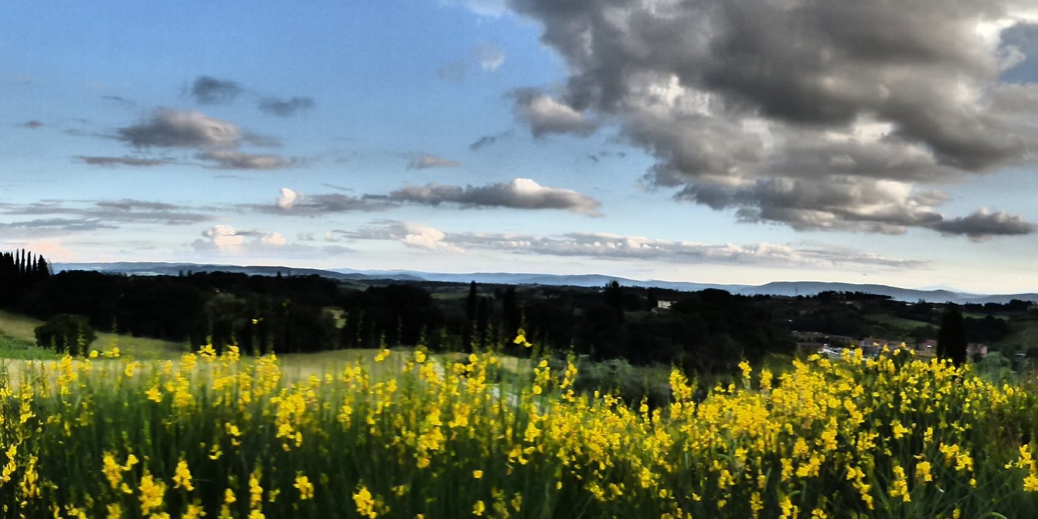 Rehette Stoltz banner
