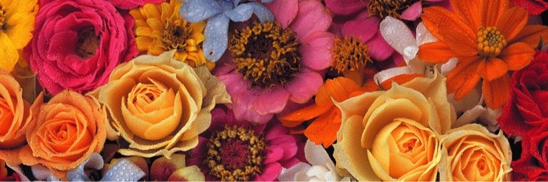 JustineMrtr's profile banner image
