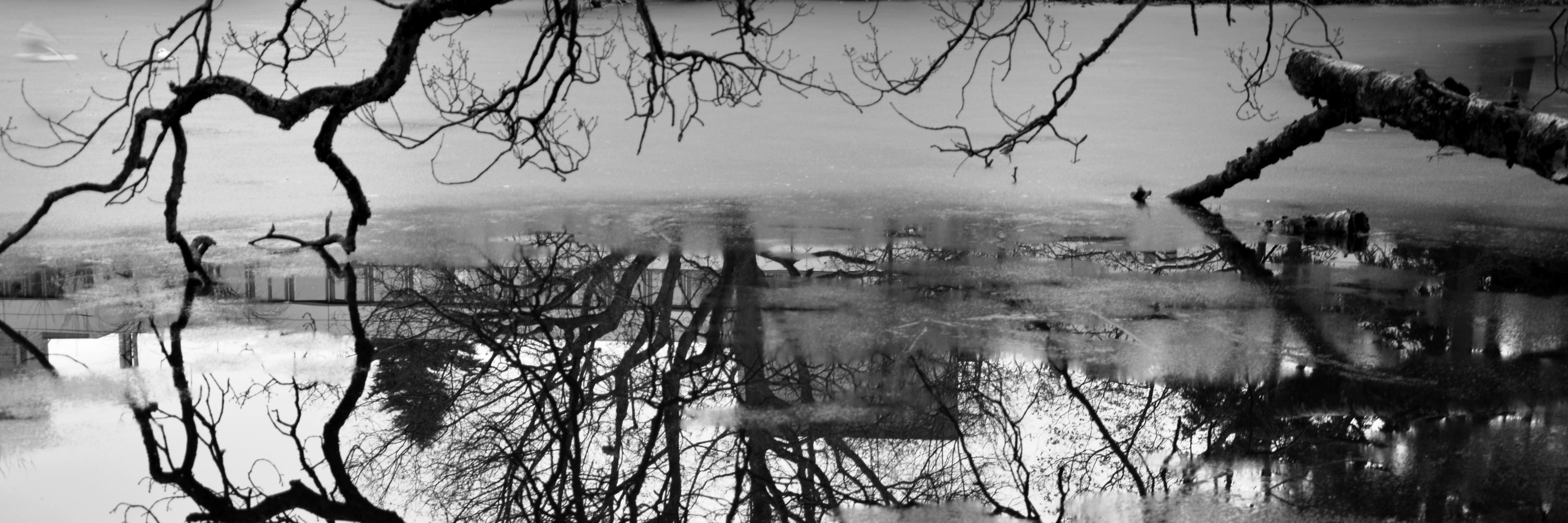 Anna Baccarin banner