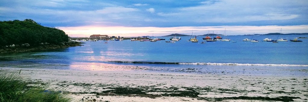 Cristina Coker banner