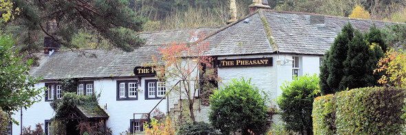 PheasantBass's profile banner image