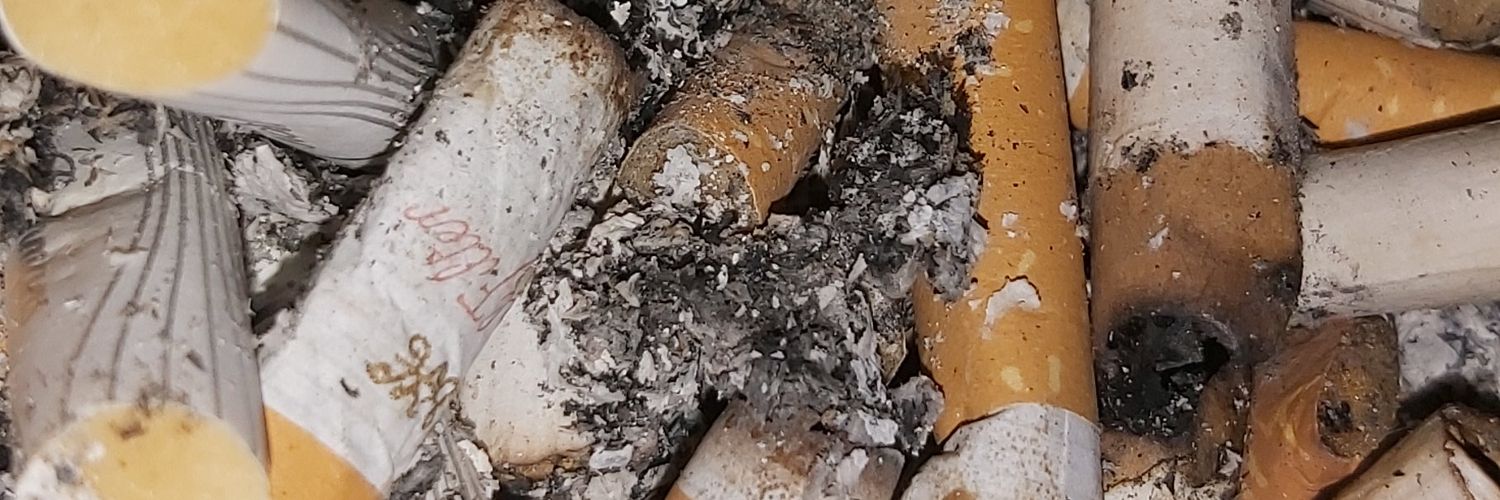 KashMeer86's profile banner image