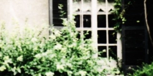 svnflowerlarry's profile banner image