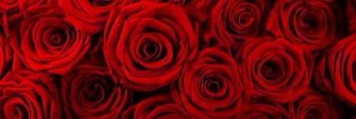 a3955902's profile banner image