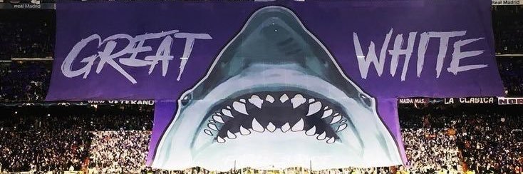 fico8's profile banner image