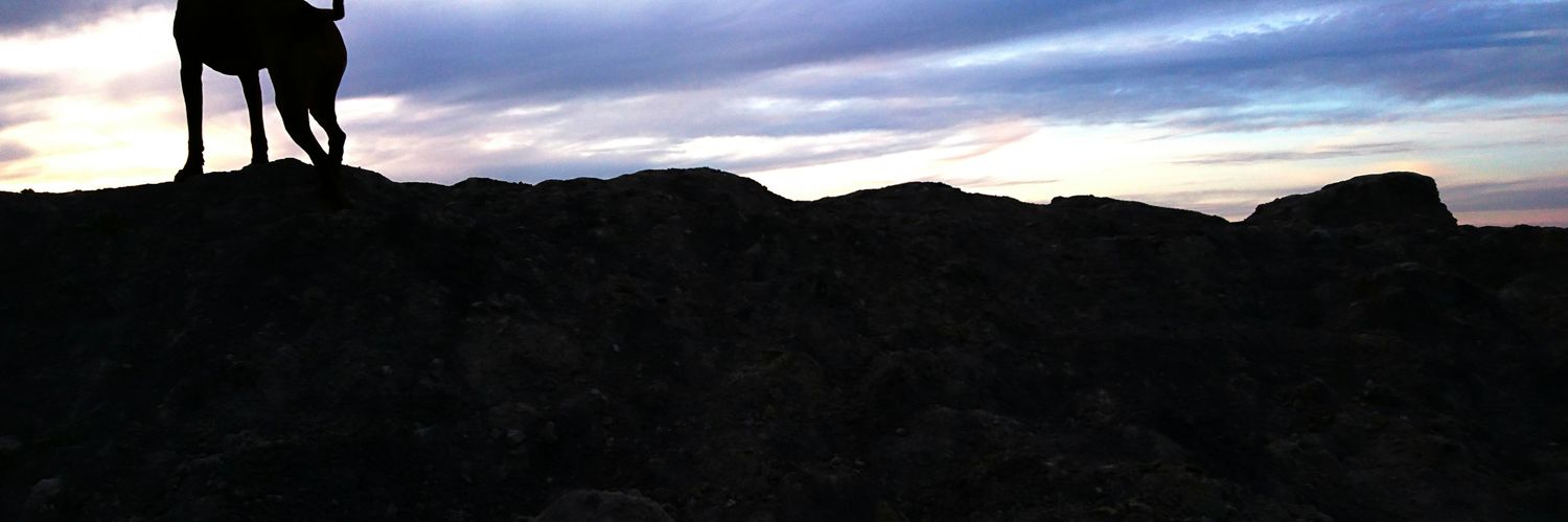 getbette's profile banner image