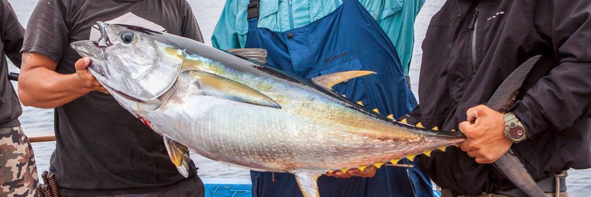 VENTURA SPORTFISHING banner