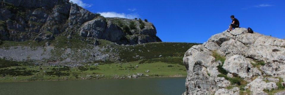 CokeMaya's profile banner image