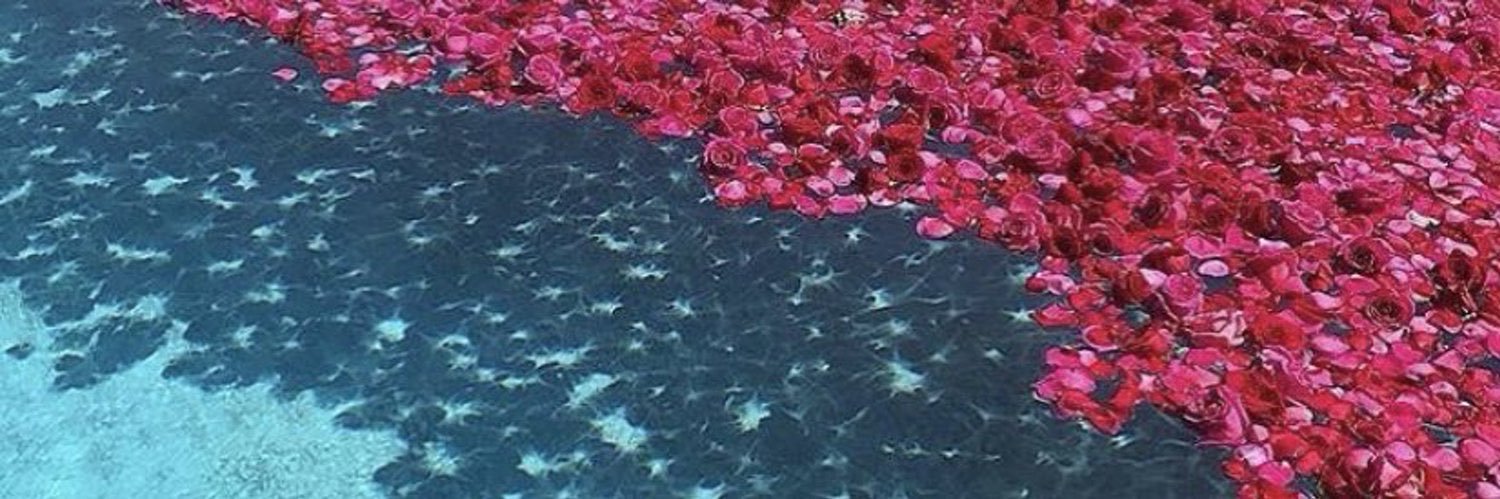 AlmnalMo's profile banner image