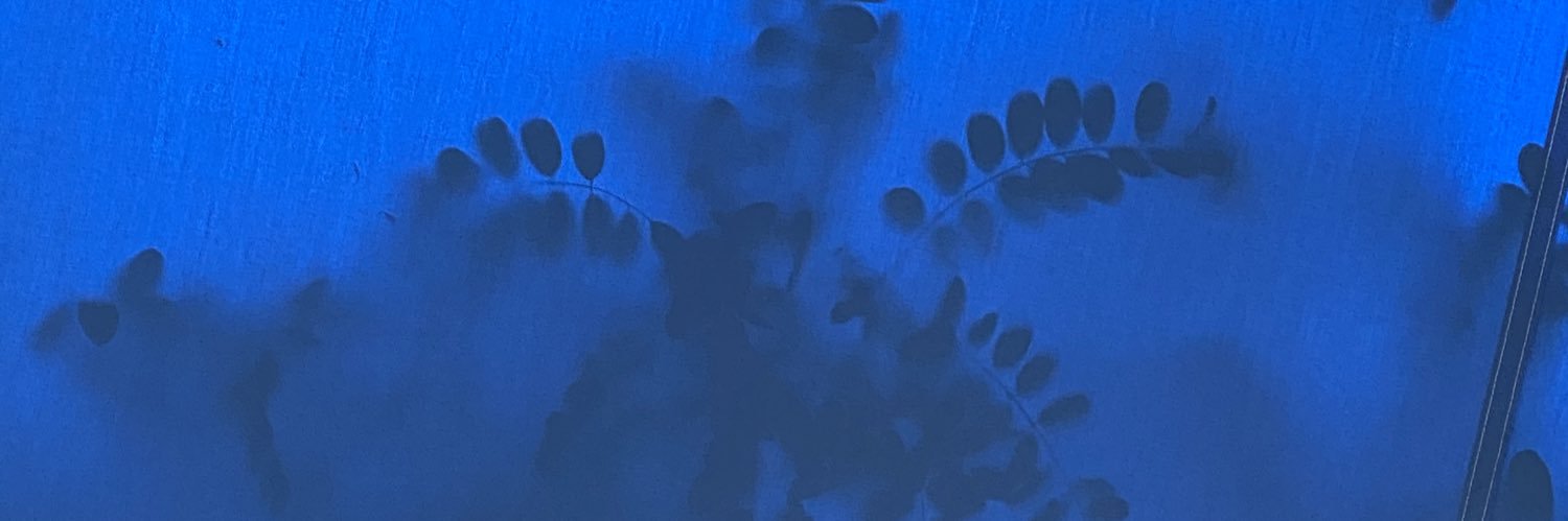 AlinaLefa's profile banner image