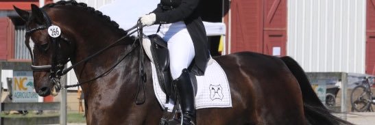 KBHEquestrian's profile banner image
