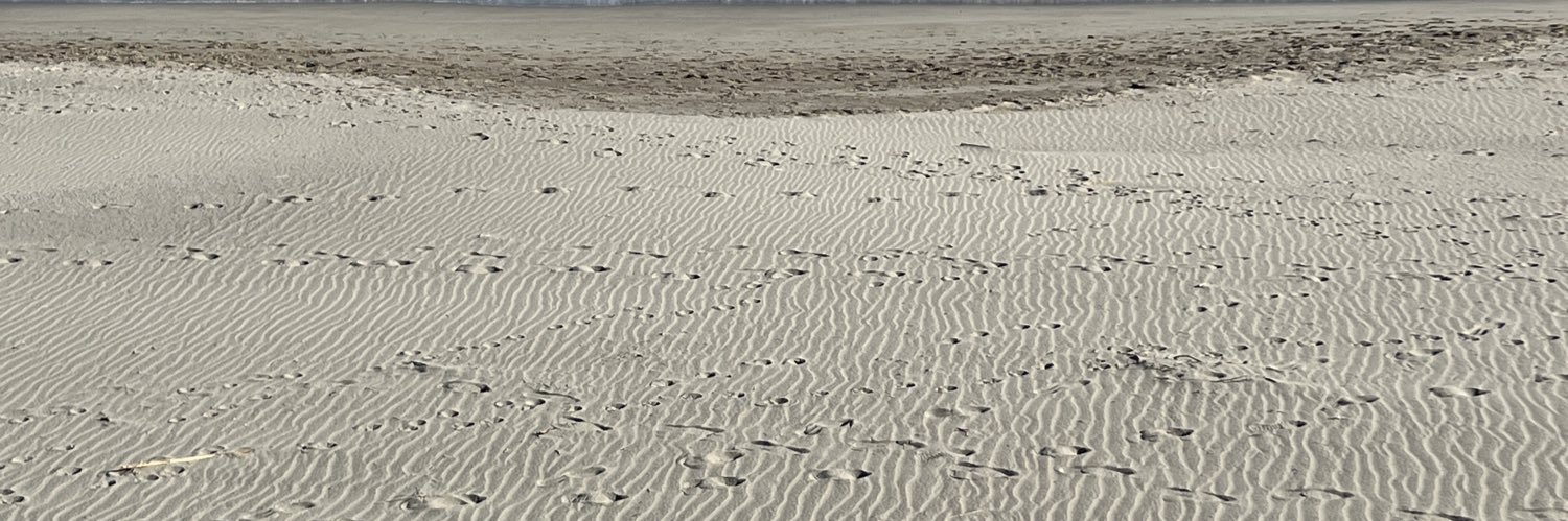 barneyedaniel's profile banner image