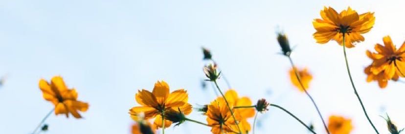 By2ble's profile banner image