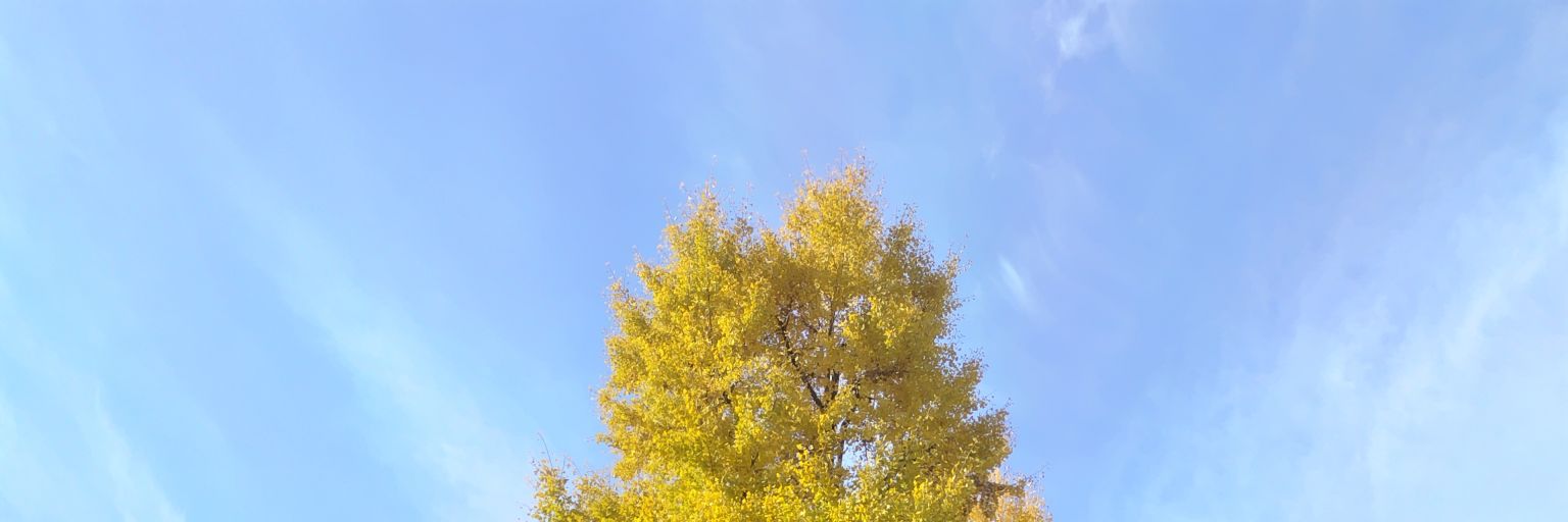 pi16897760's profile banner image