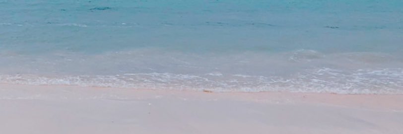 ういな@取引垢 banner