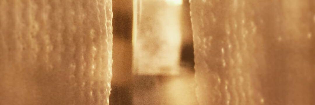 k1152914's profile banner image